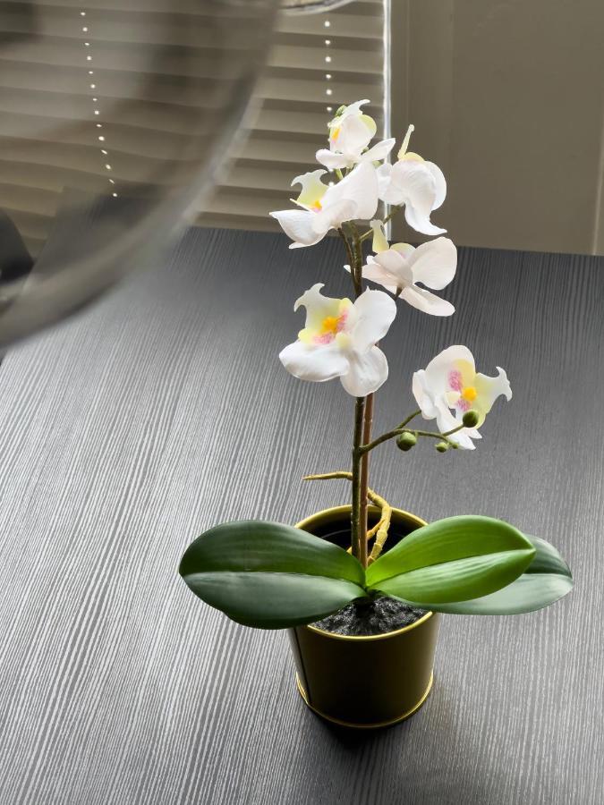 Design Wohnung Naehe Uni 科布倫茨 外观 照片